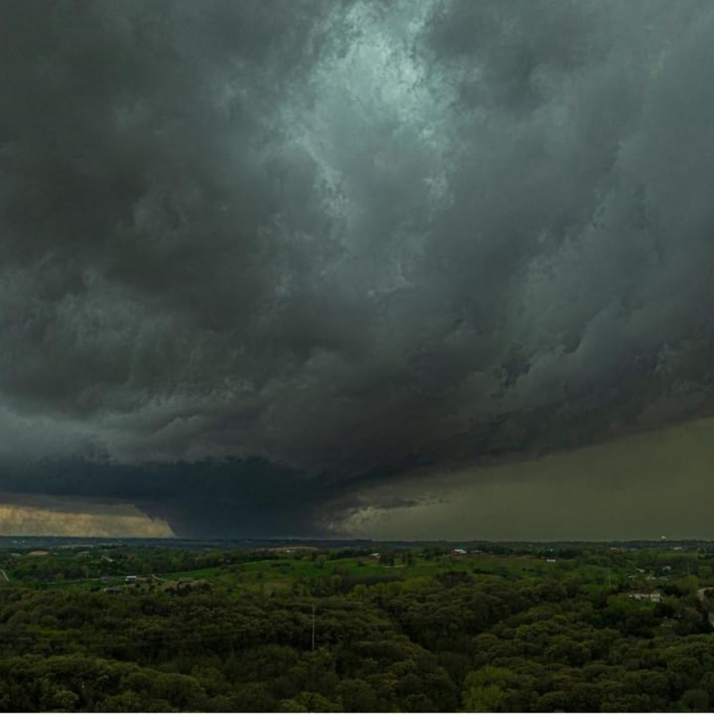 Meet your Posher, Vickie